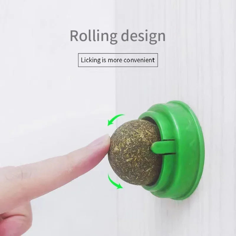 Active Catnip Wall Play Ball Toy