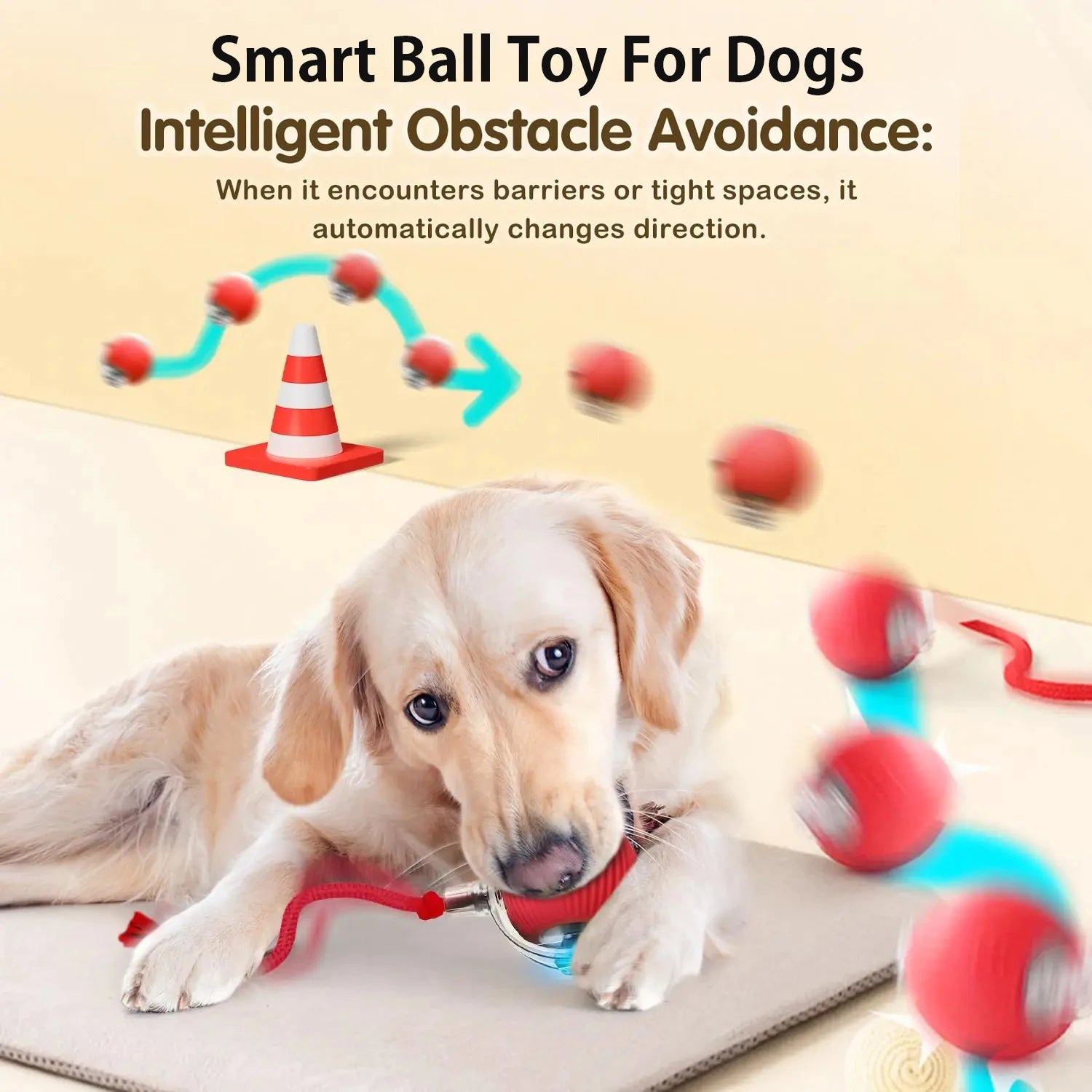 RolloPlay Interactive Pet Ball
