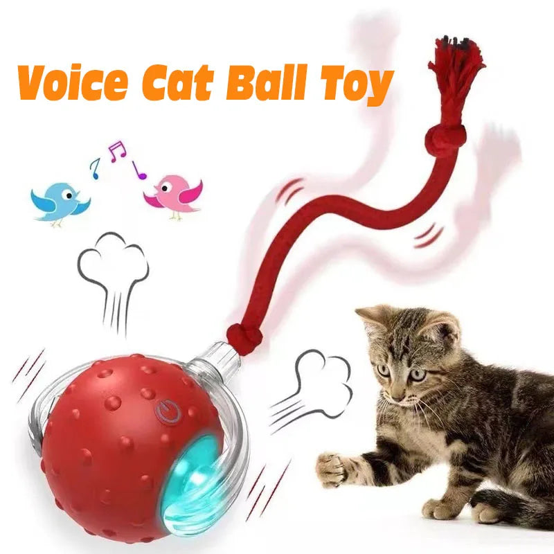 Rolling Play Ball for Cats