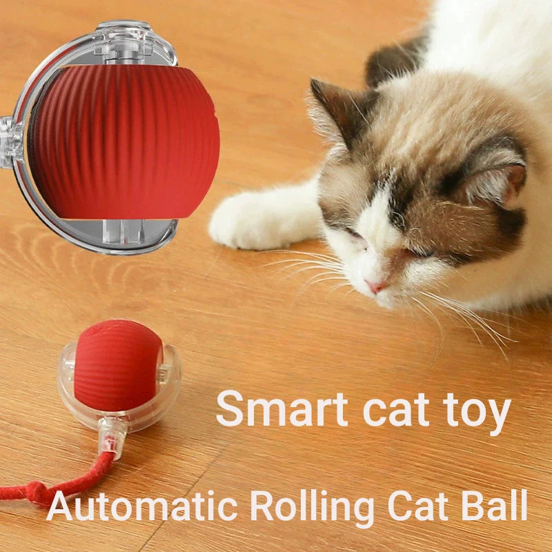 Rolling Play Ball for Cats