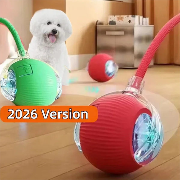 RolloPlay Interactive Pet Ball