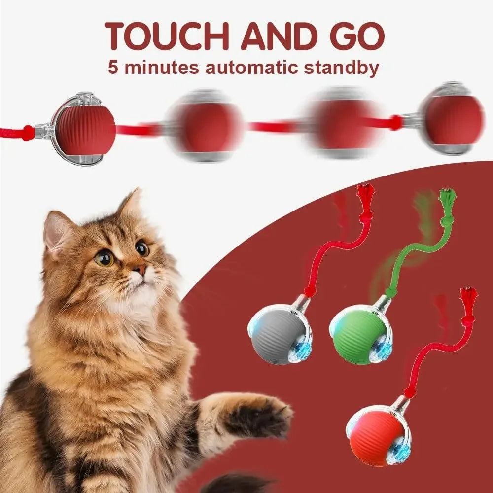 Rolling Play Ball for Cats