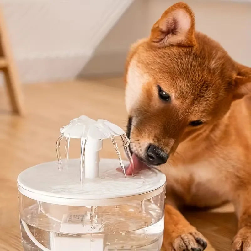 QuietFlow Pro Pet Water Fountain