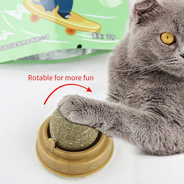 Active Catnip Wall Play Ball Toy