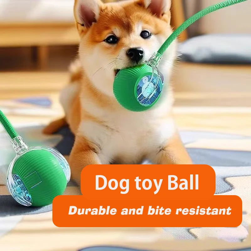RolloPlay Interactive Pet Ball