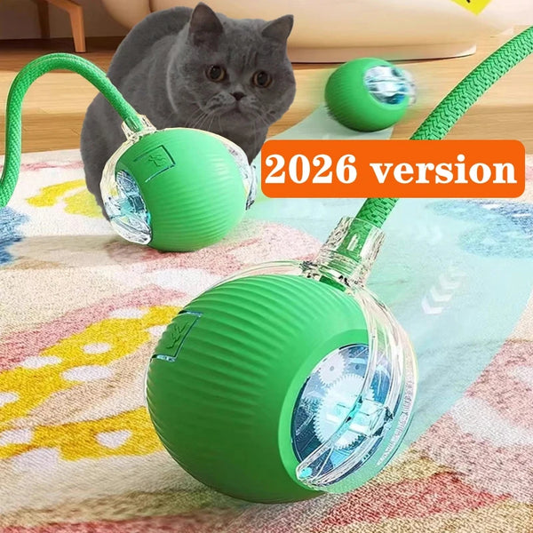 Rolling Play Ball for Cats