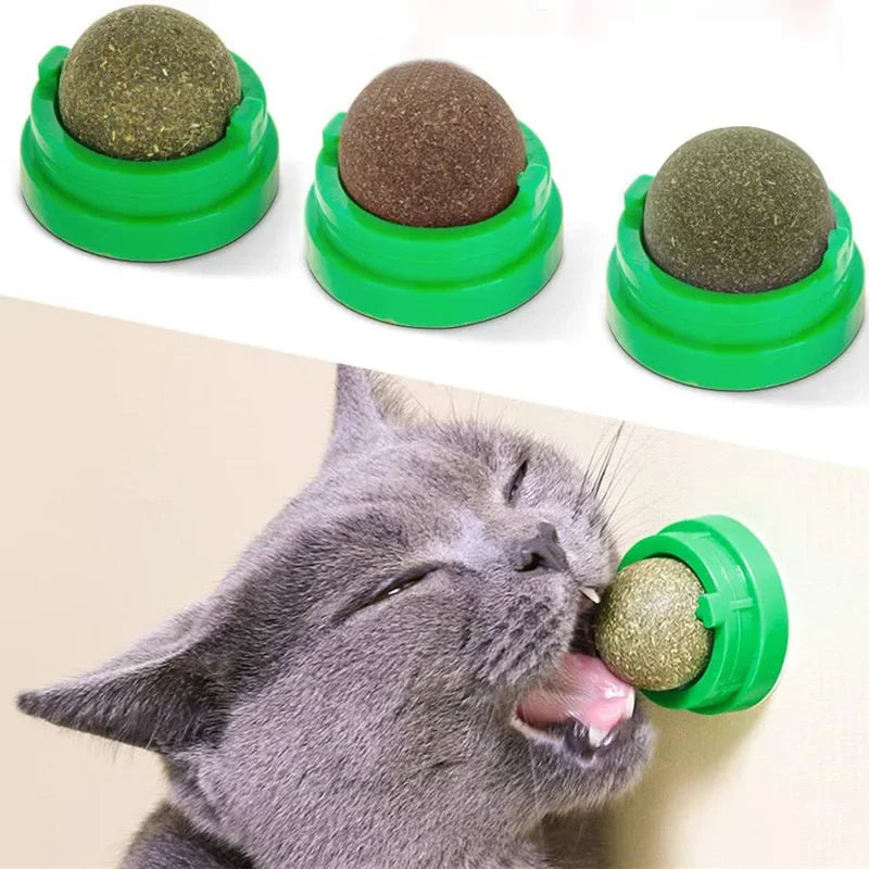 Active Catnip Wall Play Ball Toy