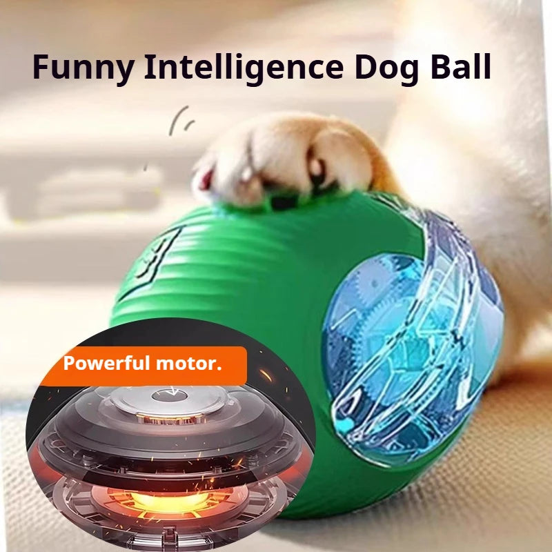 RolloPlay Interactive Pet Ball