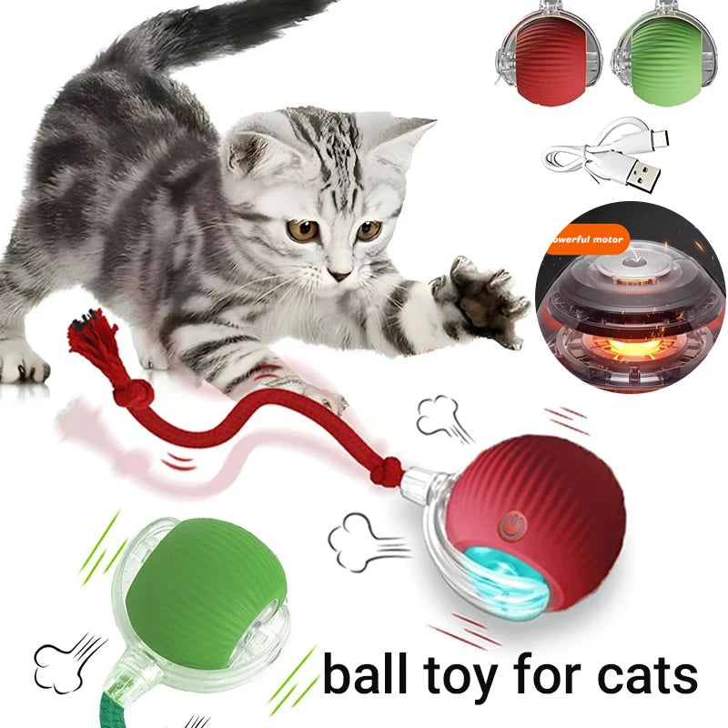 Rolling Play Ball for Cats