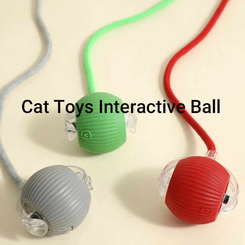 Rolling Play Ball for Cats