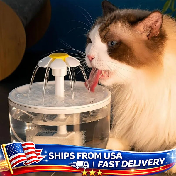 QuietFlow Pro Pet Water Fountain