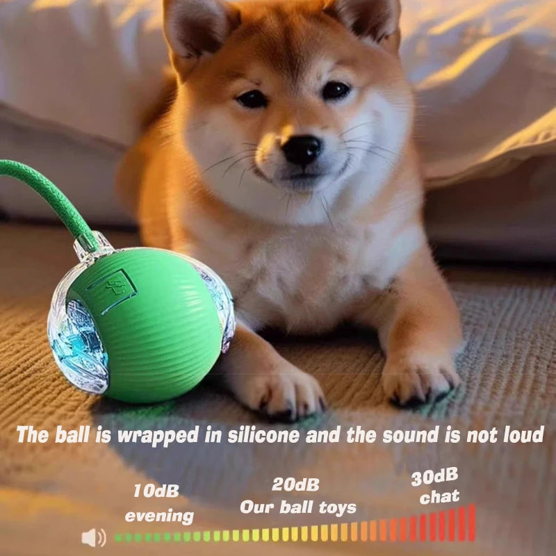RolloPlay Interactive Pet Ball